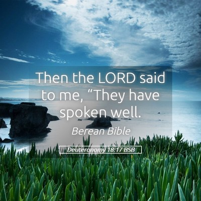 Picture 05 - Deuteronomy 18:17 BSB - Then the LORD said to me, “They have spoken - Bible Verse Picture