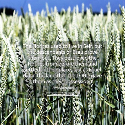 Picture 05 - Deuteronomy 2:12 BSB - The Horites used to live in Seir, but the - Bible Verse Picture