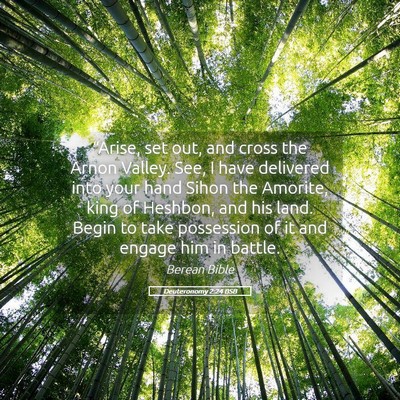 Picture 05 - Deuteronomy 2:24 BSB - “Arise, set out, and cross the Arnon Valley. - Bible Verse Picture
