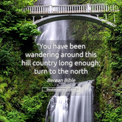 Picture 05 - Deuteronomy 2:3 BSB - “You have been wandering around this hill - Bible Verse Picture