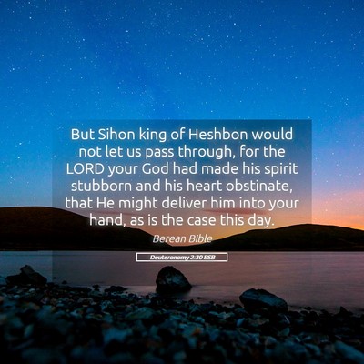 Picture 05 - Deuteronomy 2:30 BSB - But Sihon king of Heshbon would not let us pass - Bible Verse Picture