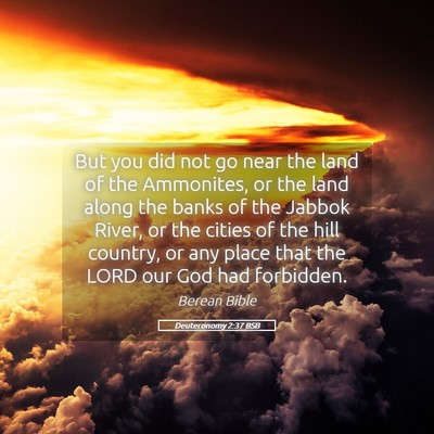 Picture 05 - Deuteronomy 2:37 BSB - But you did not go near the land of the - Bible Verse Picture