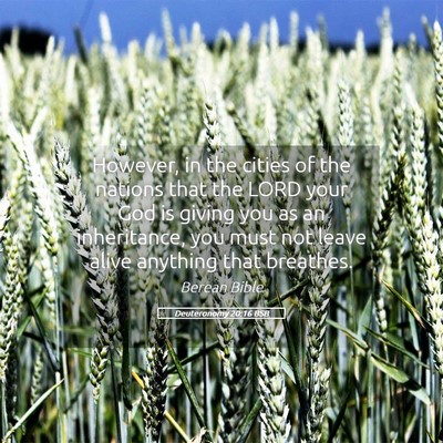 Picture 05 - Deuteronomy 20:16 BSB - However, in the cities of the nations that the - Bible Verse Picture