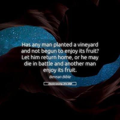 Picture 05 - Deuteronomy 20:6 BSB - Has any man planted a vineyard and not begun to - Bible Verse Picture
