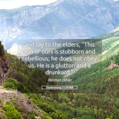 Picture 05 - Deuteronomy 21:20 BSB - and say to the elders, “This son of ours is - Bible Verse Picture