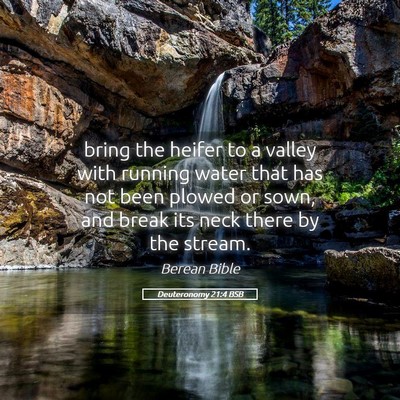 Picture 05 - Deuteronomy 21:4 BSB - bring the heifer to a valley with running water - Bible Verse Picture