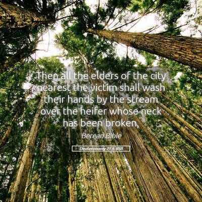Picture 05 - Deuteronomy 21:6 BSB - Then all the elders of the city nearest the - Bible Verse Picture