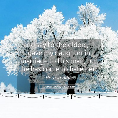Picture 05 - Deuteronomy 22:16 BSB - and say to the elders, “I gave my daughter in - Bible Verse Picture