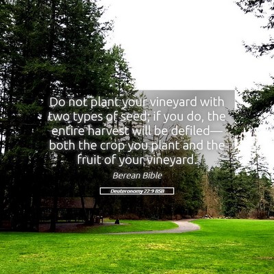 Picture 05 - Deuteronomy 22:9 BSB - Do not plant your vineyard with two types of - Bible Verse Picture
