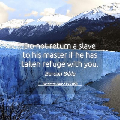 Picture 05 - Deuteronomy 23:15 BSB - Do not return a slave to his master if he has - Bible Verse Picture
