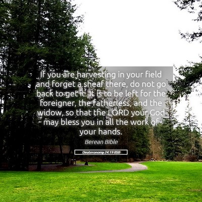Picture 05 - Deuteronomy 24:19 BSB - If you are harvesting in your field and forget a - Bible Verse Picture