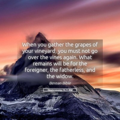 Picture 05 - Deuteronomy 24:21 BSB - When you gather the grapes of your vineyard, you - Bible Verse Picture