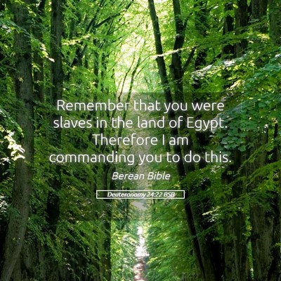 Picture 05 - Deuteronomy 24:22 BSB - Remember that you were slaves in the land of - Bible Verse Picture