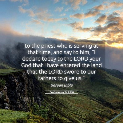 Picture 05 - Deuteronomy 26:3 BSB - to the priest who is serving at that time, and - Bible Verse Picture