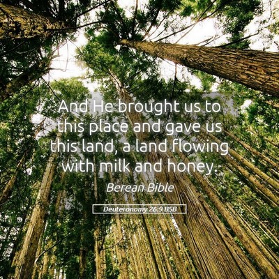 Picture 05 - Deuteronomy 26:9 BSB - And He brought us to this place and gave us this - Bible Verse Picture