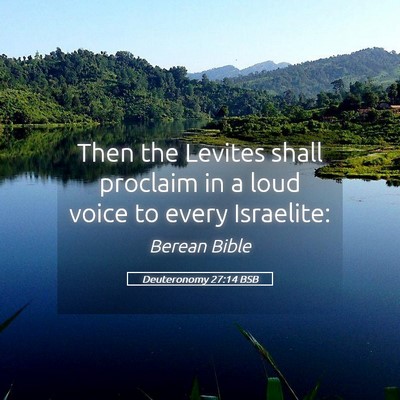 Picture 05 - Deuteronomy 27:14 BSB - Then the Levites shall proclaim in a loud voice - Bible Verse Picture