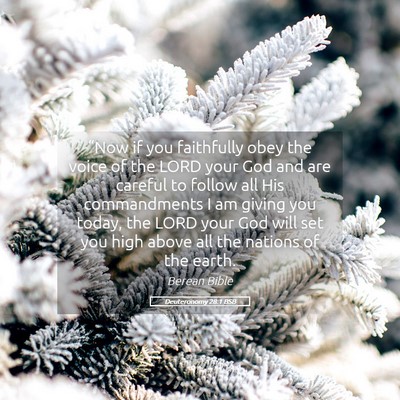 Picture 05 - Deuteronomy 28:1 BSB - “Now if you faithfully obey the voice of the - Bible Verse Picture