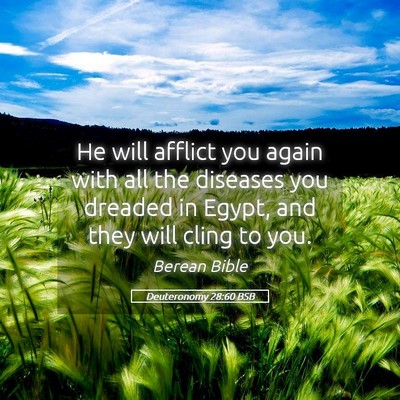 Picture 05 - Deuteronomy 28:60 BSB - He will afflict you again with all the diseases - Bible Verse Picture