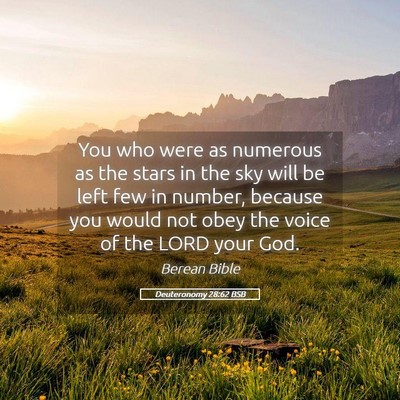 Picture 05 - Deuteronomy 28:62 BSB - You who were as numerous as the stars in the sky - Bible Verse Picture