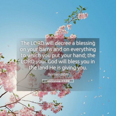 Picture 05 - Deuteronomy 28:8 BSB - The LORD will decree a blessing on your barns and - Bible Verse Picture