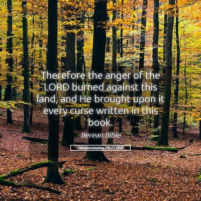 Picture 05 - Deuteronomy 29:27 BSB - Therefore the anger of the LORD burned against - Bible Verse Picture
