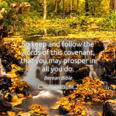 Picture 05 - Deuteronomy 29:9 BSB - So keep and follow the words of this covenant, - Bible Verse Picture