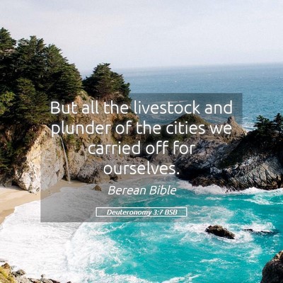 Picture 05 - Deuteronomy 3:7 BSB - But all the livestock and plunder of the cities - Bible Verse Picture