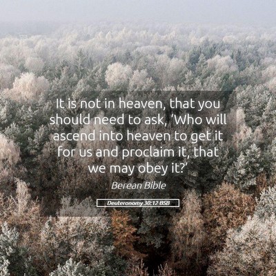Picture 05 - Deuteronomy 30:12 BSB - It is not in heaven, that you should need to ask, - Bible Verse Picture