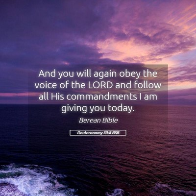 Picture 05 - Deuteronomy 30:8 BSB - And you will again obey the voice of the LORD and - Bible Verse Picture