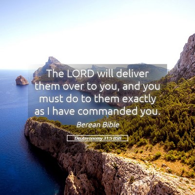 Picture 05 - Deuteronomy 31:5 BSB - The LORD will deliver them over to you, and you - Bible Verse Picture