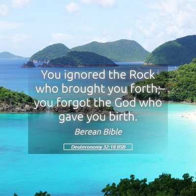 Picture 05 - Deuteronomy 32:18 BSB - You ignored the Rock who brought you forth; you - Bible Verse Picture