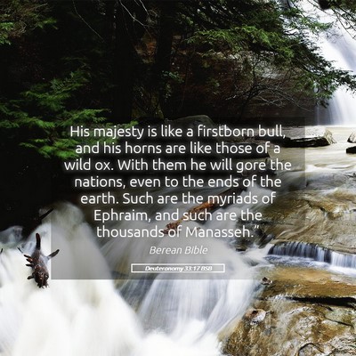 Picture 05 - Deuteronomy 33:17 BSB - His majesty is like a firstborn bull, and his - Bible Verse Picture