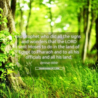 Picture 05 - Deuteronomy 34:11 BSB - no prophet who did all the signs and wonders that - Bible Verse Picture