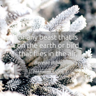 Picture 05 - Deuteronomy 4:17 BSB - of any beast that is on the earth or bird that - Bible Verse Picture
