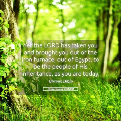Picture 05 - Deuteronomy 4:20 BSB - Yet the LORD has taken you and brought you out of - Bible Verse Picture