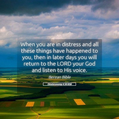 Picture 05 - Deuteronomy 4:30 BSB - When you are in distress and all these things - Bible Verse Picture