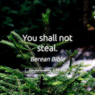 Picture 05 - Deuteronomy 5:19 BSB - You shall not - Bible Verse Picture