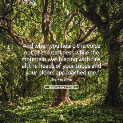 Picture 05 - Deuteronomy 5:23 BSB - And when you heard the voice out of the darkness - Bible Verse Picture