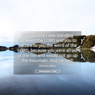 Picture 05 - Deuteronomy 5:5 BSB - At that time I was standing between the LORD and - Bible Verse Picture