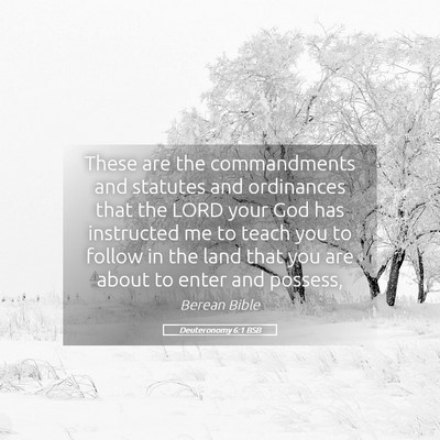 Picture 05 - Deuteronomy 6:1 BSB - These are the commandments and statutes and - Bible Verse Picture