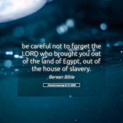 Picture 05 - Deuteronomy 6:12 BSB - be careful not to forget the LORD who brought you - Bible Verse Picture