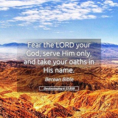 Picture 05 - Deuteronomy 6:13 BSB - Fear the LORD your God, serve Him only, and take - Bible Verse Picture
