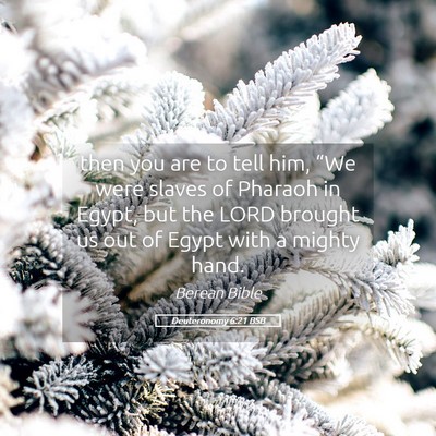 Picture 05 - Deuteronomy 6:21 BSB - then you are to tell him, “We were slaves of - Bible Verse Picture