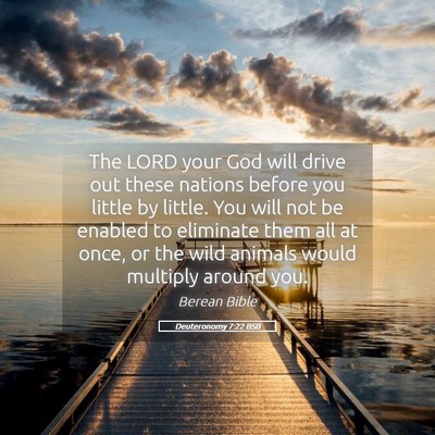Picture 05 - Deuteronomy 7:22 BSB - The LORD your God will drive out these nations - Bible Verse Picture