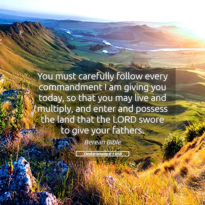 Picture 05 - Deuteronomy 8:1 BSB - You must carefully follow every commandment I am - Bible Verse Picture