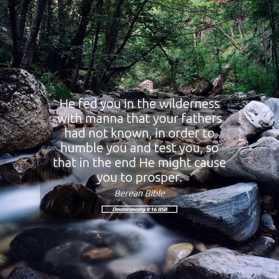 Picture 05 - Deuteronomy 8:16 BSB - He fed you in the wilderness with manna that your - Bible Verse Picture