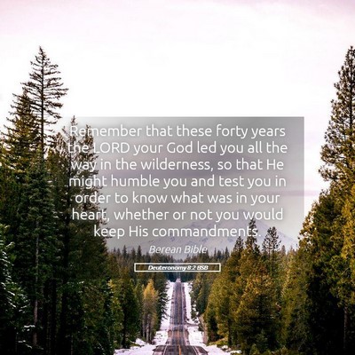 Picture 05 - Deuteronomy 8:2 BSB - Remember that these forty years the LORD your God - Bible Verse Picture