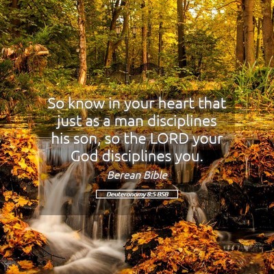 Picture 05 - Deuteronomy 8:5 BSB - So know in your heart that just as a man - Bible Verse Picture