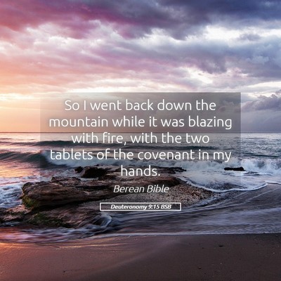 Picture 05 - Deuteronomy 9:15 BSB - So I went back down the mountain while it was - Bible Verse Picture