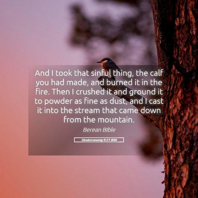 Picture 05 - Deuteronomy 9:21 BSB - And I took that sinful thing, the calf you had - Bible Verse Picture